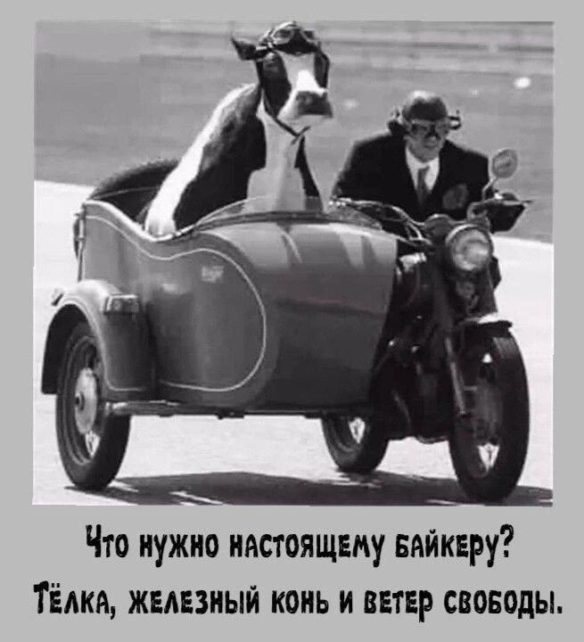 Что нужно НАСТОЯЩЕМУ БАЙКЕру ТЁЛКА ЖЕЛЕЗНЫЙ КОНЬ И ВЕТЕР СВОБОДЫ