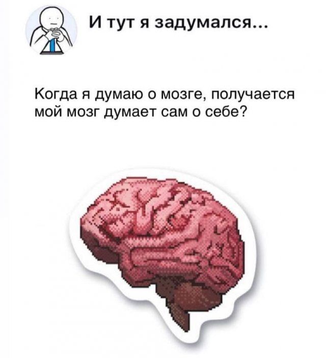 Итут я задумался Когда я думаю о мозге получается мой мозг думает сам о себе