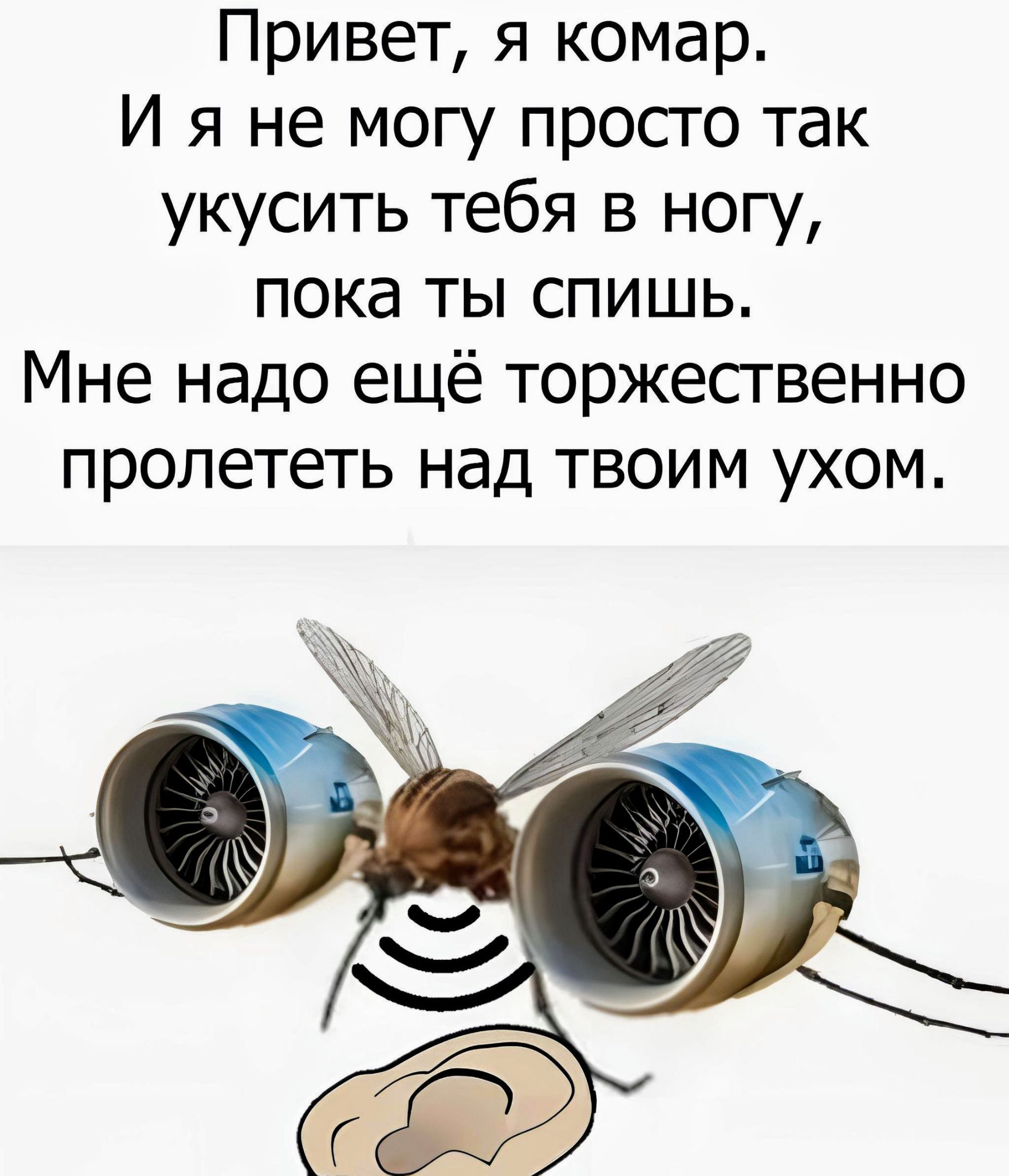 Привет я комар И я не могу просто так укусить тебя в ногу пока ты спишь Мне надо ещё торжественно пролететь над твоим ухом