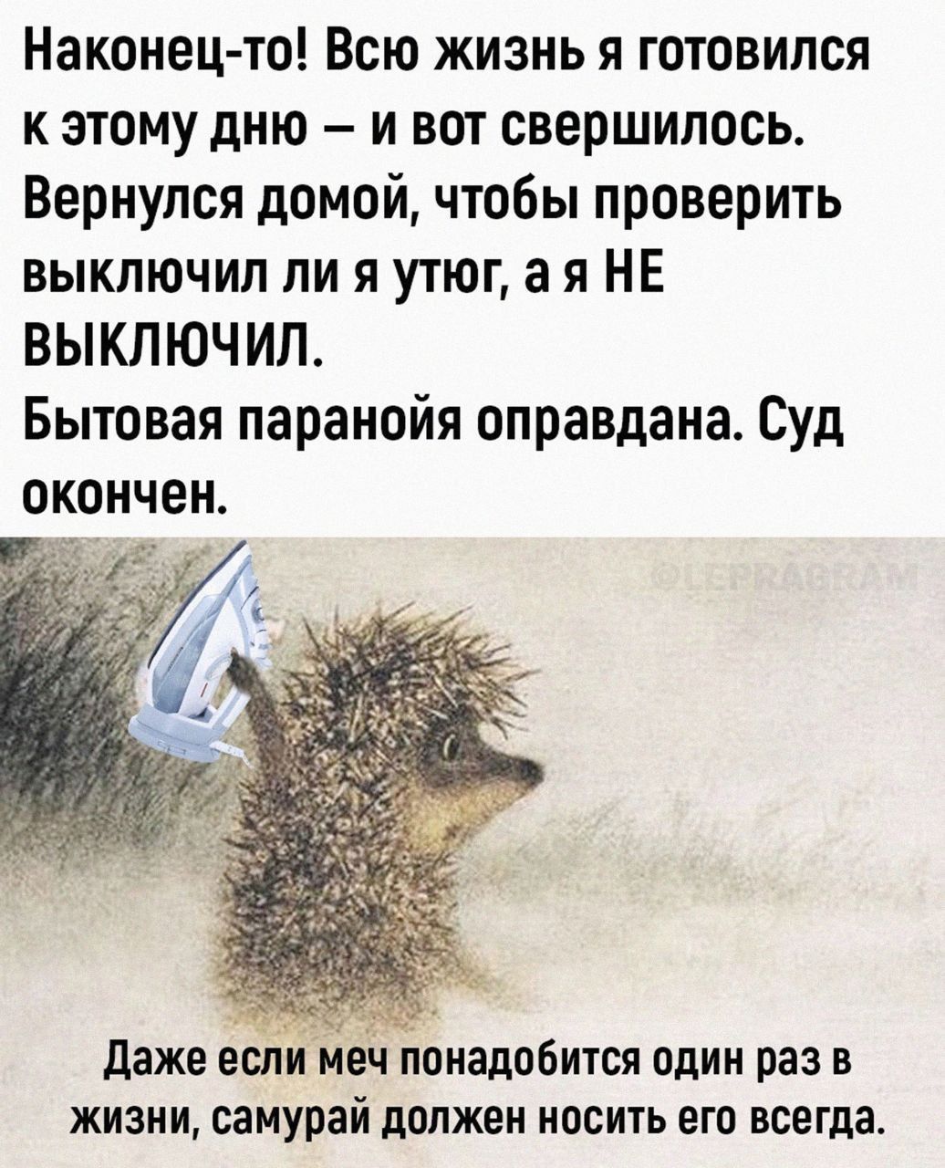 Наконец то Всю жизнь я готовился к этому дню и вот свершилось Вернулся домой чтобы проверить выключил ли я утюг ая НЕ ВЫКЛЮЧИЛ Бытовая паранойя оправдана Суд окончен Даже если меч понадобится один раз в жизни самурай должен носить его всегда
