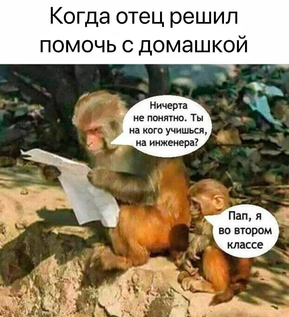 Когда отец решил помочь с домашкой Ничерта ь не понятно Ты на кого учишься на инженера Пап я во втором классе