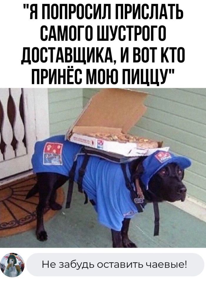 Я ПОПРОСИЛ ПРИСЛАТЬ САМОГО ШУСТРОГО ДОСТАВЩИКА И ВОТ КТО ПРИНЕС МОЮ ПИЦЦУ _ аа Ё Не забудь оставить чаевые
