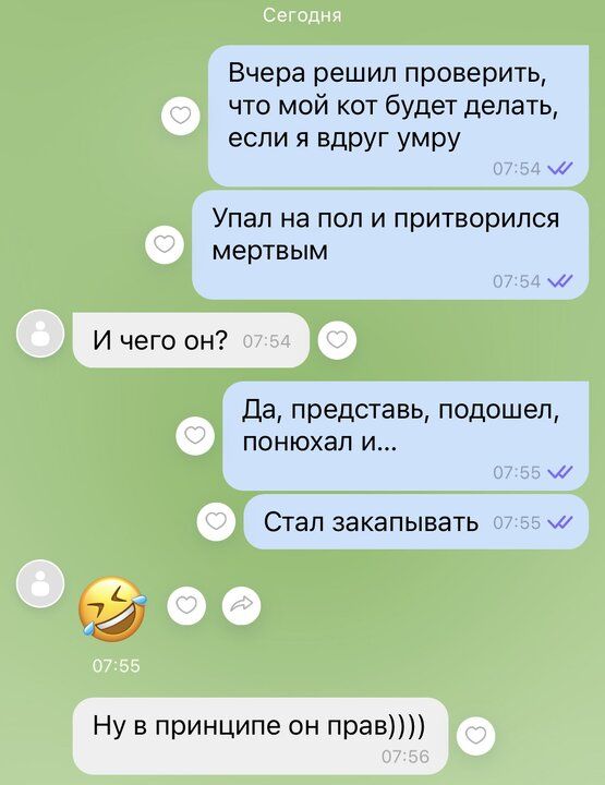 Вчера решил проверить что мой кот будет делать если я вдруг умру м Упал на пол и притворился мертвым И чего он Да представь подошел понюхал и Стал закапывать Ну в принципе он прав