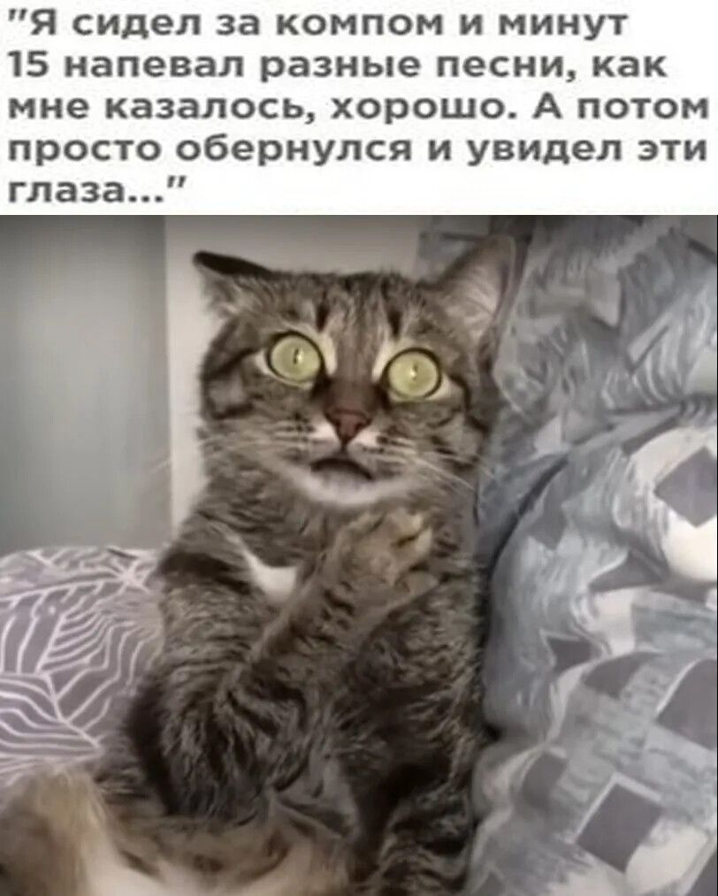 Я сидел за компом и минут 15 напевал разные песни как мне казалось хорошо А потом просто обернулся и увидел эти глаза