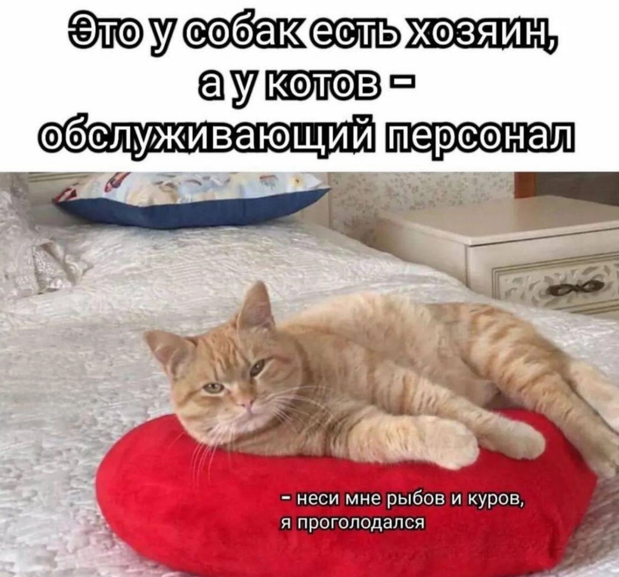 то у собетс ст ХОсятахЬ аукслеве обслуживающии неси мне рыбов и куров