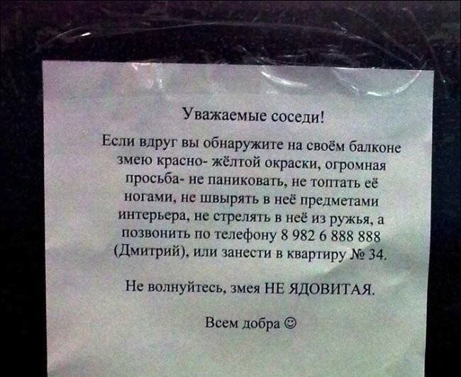 Уважаемые соседи Если вдруг вы обнаружите на своём балконе змею красно жёлтой окраски огромная просьба не паниковать не топтать её ногами не швырять в неё предметами интерьера не стрелять в неё из ружья а позвонить по телефону 8 982 6 888 888 Дмитрий или занести в квартиру 34 Не волнуйтесь змея НЕ ЯДОВИТАЯ Всем добра