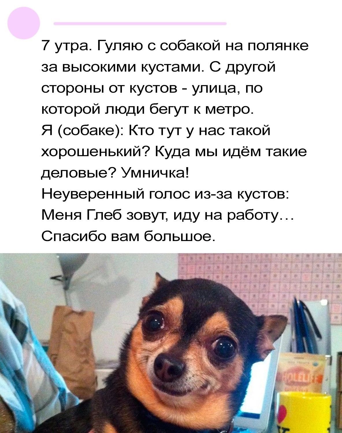 7 утра Гуляю с собакой на полянке за высокими кустами С другой стороны от кустов улица по которой люди бегут к метро Я собаке Кто тут у нас такой хорошенький Куда мы идём такие деловые Умничка Неуверенный голос из за кустов Меня Глеб зовут иду на работу Спасибо вам большое