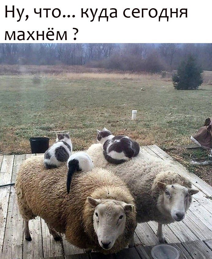 Ну что куда сегодня махнём ЕЯ ана бр оо ОО Итецх ы