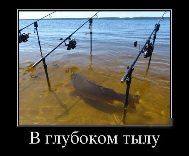 В глубоком тылу