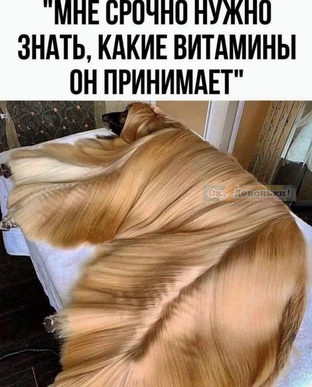 МАЕ СРОЧНО НУЖНО ЗНАТЬ КАКИЕ ВИТАМИНЫ ОН ПРИНИМАЕТ
