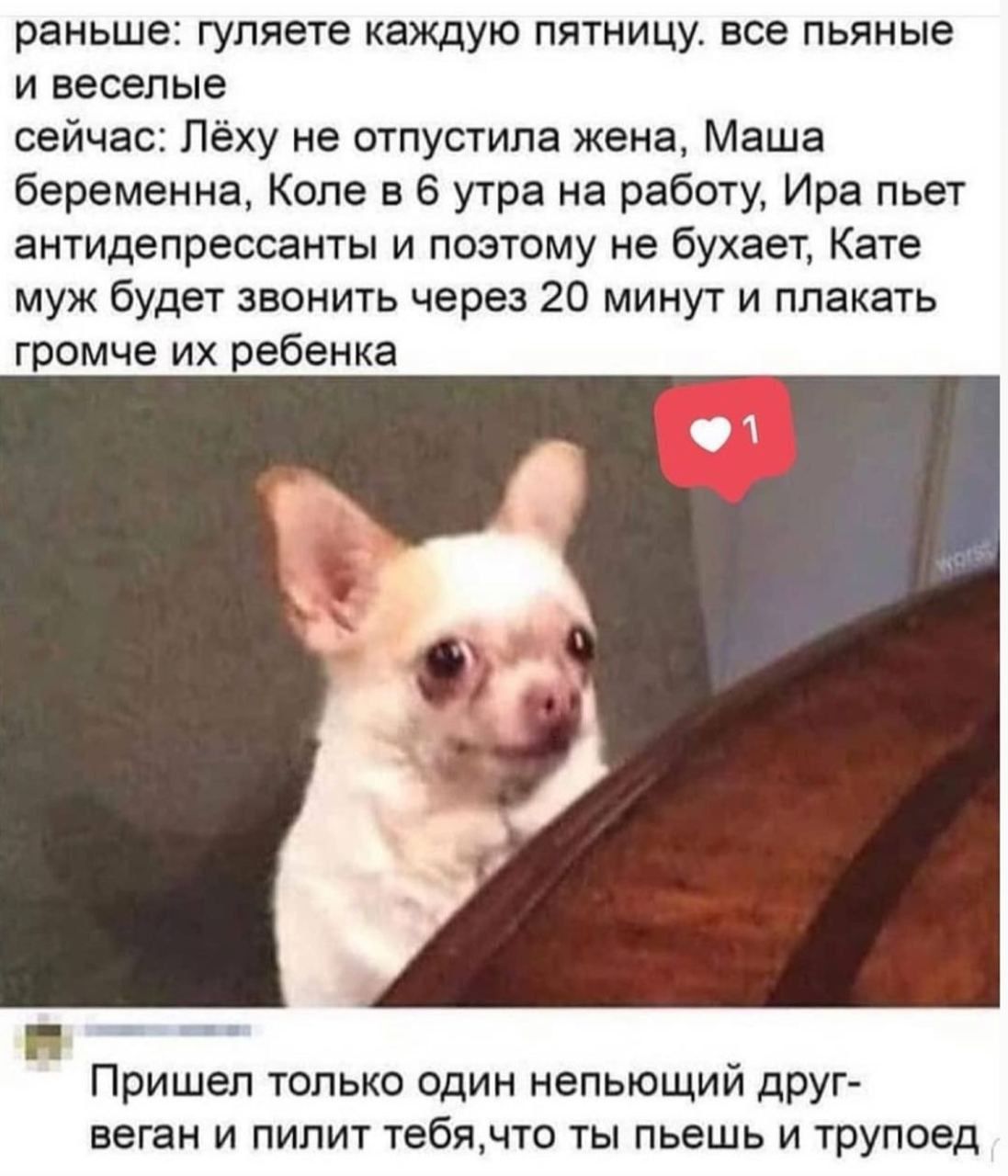 раньше гуляете каждую пятницу все пьяные и веселые сейчас Лёху не отпустила жена Маша беременна Коле в 6 утра на работу Ира пьет антидепрессанты и поэтому не бухает Кате муж будет звонить через 20 минут и плакать громче их ребенка Пришел только один непьющий друг веган и пилит тебячто ты пьешь и трупоед