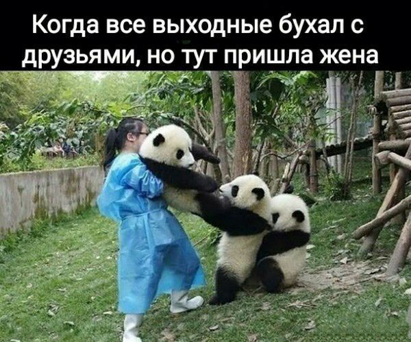 Когда все выходные бухал с друзьями но тут пришла жена