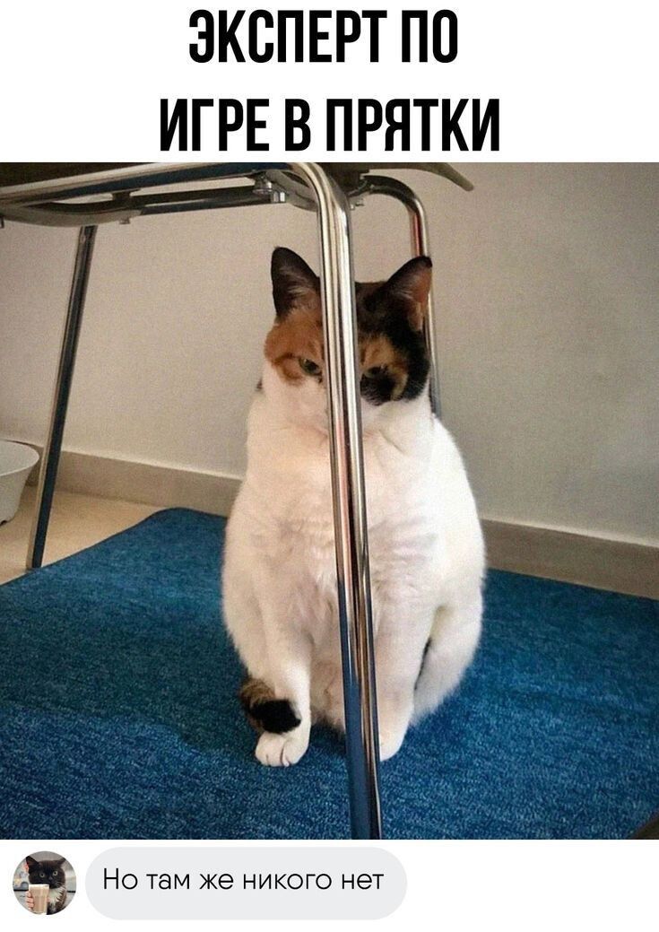 ЭКСПЕРТ ПО ИГРЕ В ПРЯТКИ