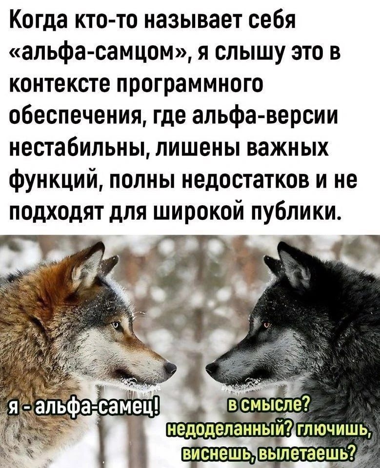 Когда кто то называет себя альфа самцом я слышу это в контексте программного обеспечения где альфа версии НЕСТЗБИПЬНЬі лишены важных функций полны недостатков и не подходят для широкой публики