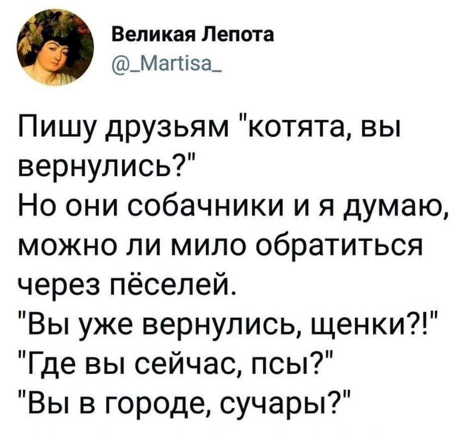 Великая Лепота _Мага_ Пишу друзьям котята вы вернулись Но они собачники и я думаю можно ли мило обратиться через пёселей Вы уже вернулись щенки Где вы сейчас псы Вы в городе сучары