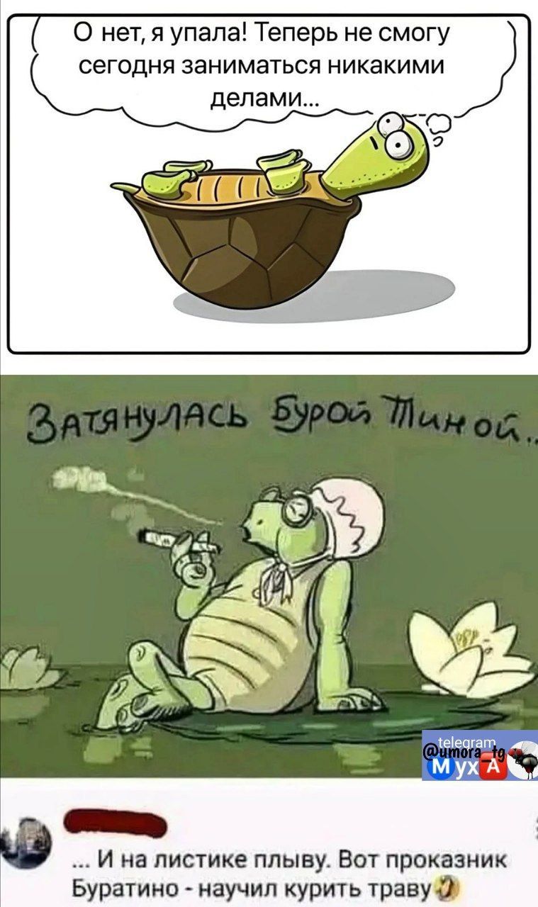 нет я упала Теперь не смогу сегодня заниматься никакими делами с2 легестатг И на листике плыву Вот проказник Буратино научил курить траву