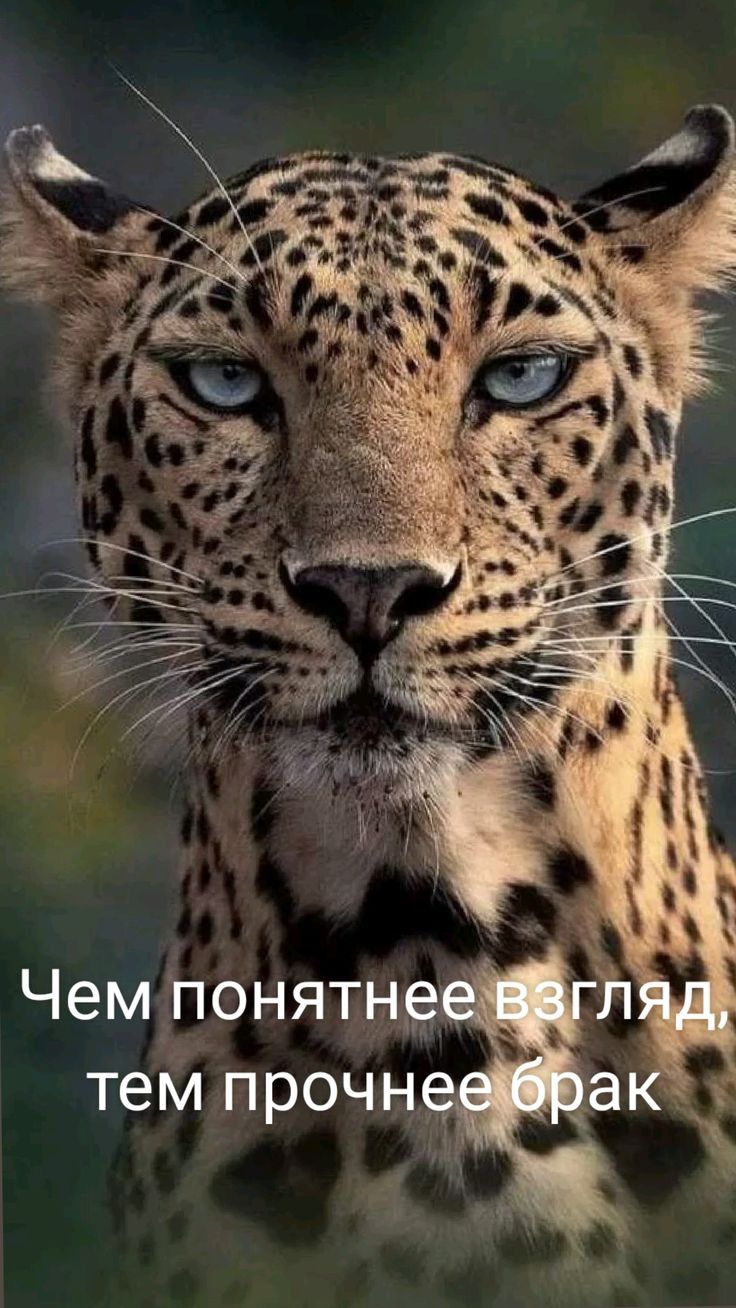 тем прочн Чем понятн
