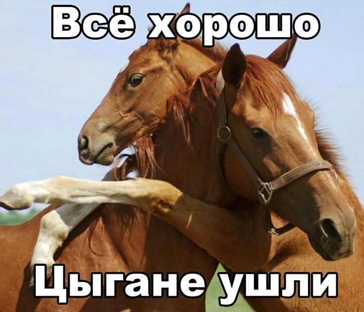 Цыганедушли