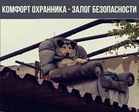 КОМФОРТ ОХРАННИКА ЗАЛОГ БЕЗОПАСНОСТИ