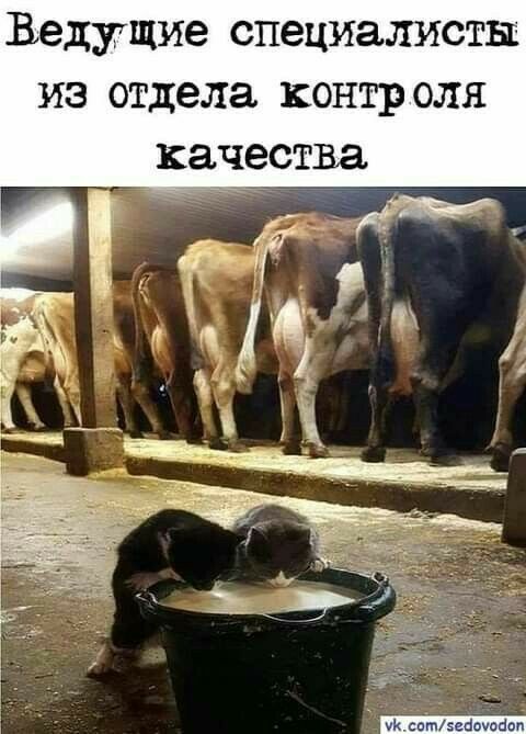 Ведущие специалисты из отдела контроля Мксотзейоходот