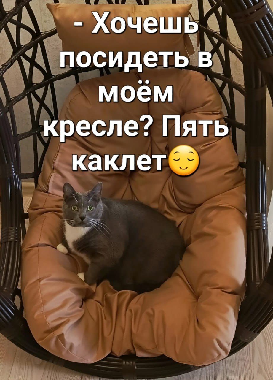Ь пюсидеть Ё моём ь кресле Пять Ёкаклете 0 ч оТЕЫ