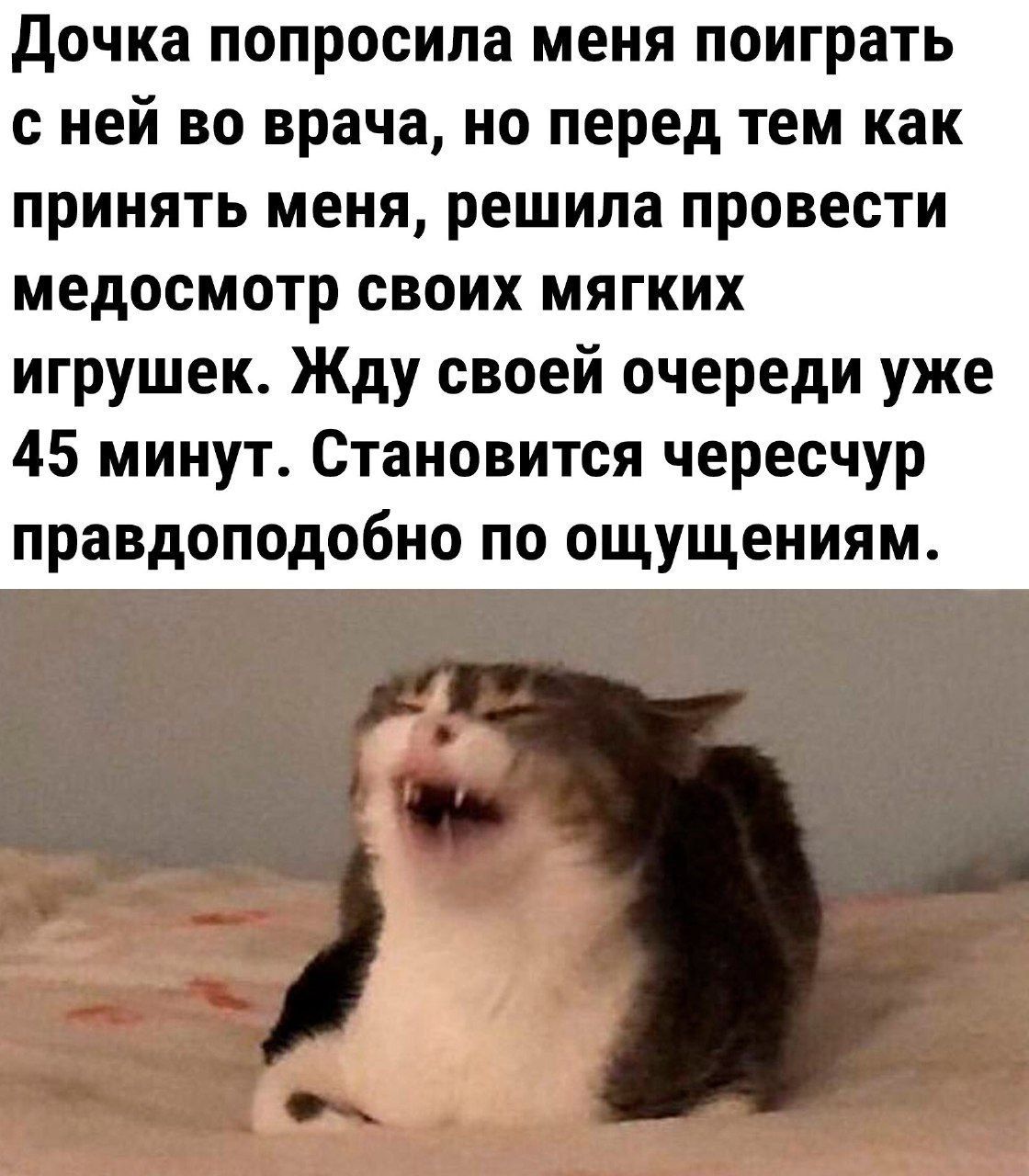 Дочка попросила меня поиграть сней во врача но перед тем как принять меня решила провести медосмотр своих мягких игрушек Жду своей очереди уже 45 минут Становится чересчур правдоподобно по ощущениям