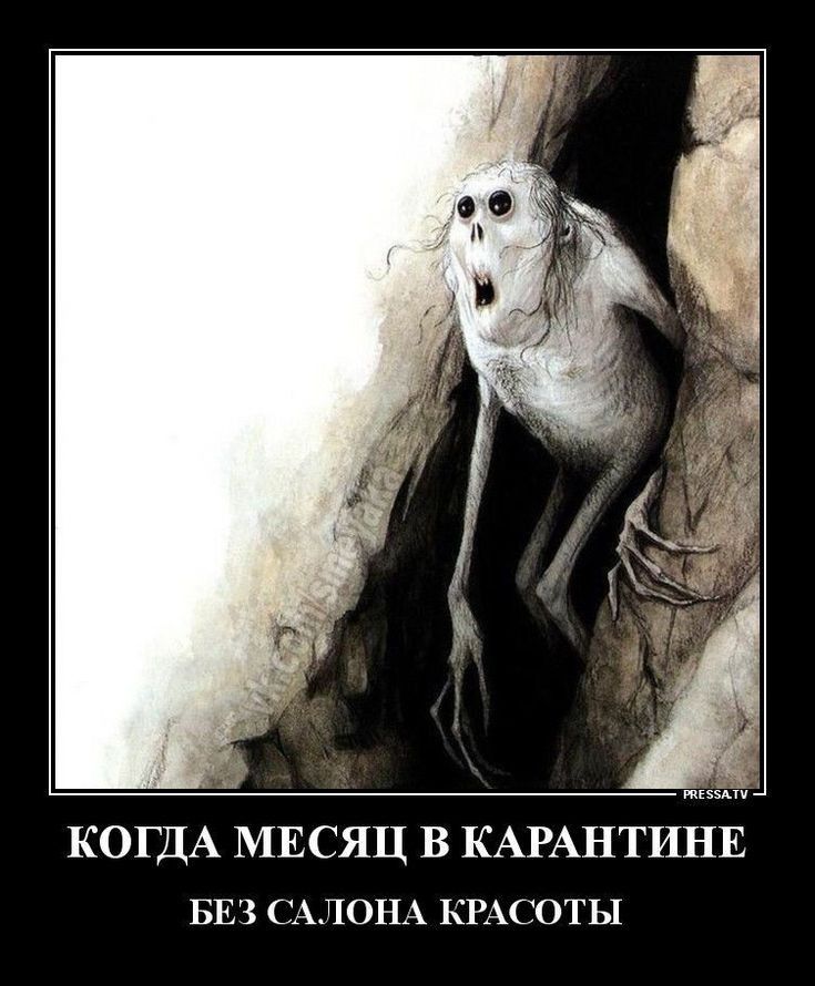 КОГДА МЕСЯЦ В КАРАНТИНЕ БЕЗ САЛОНА КРАСОТЫ