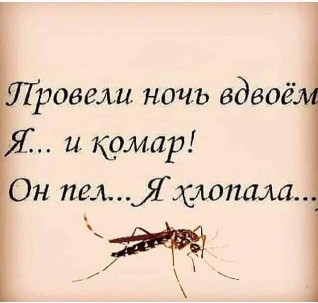 7Тровели ночь вдвоё Я и комар Он пелЯ хлопала