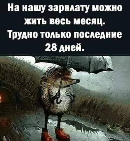 На нашу зарплату можно жить весь месяц Трудно только последние 28 дней Е к