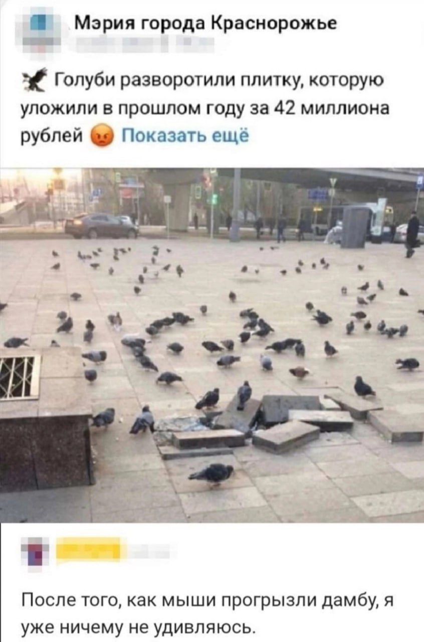 Мэрия города Краснорожье ва з Голуби разворотили плитку которую уложили в прошлом году за 42 миллиона рублей Показать ещё После того как мыши прогрызли дамбу я уже ничему не удивляюсь