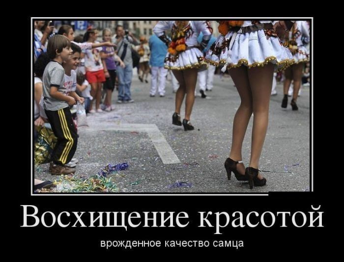 Восхищение красотой врожденное качество самца