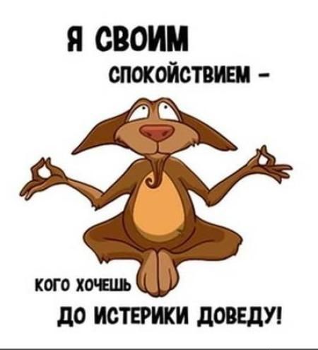 Я СВОИМ СПОКОЙСТВИЕМ КОГО ХОЧЕШЬ ДО ИСТЕРИКИ ДОВЕДУ