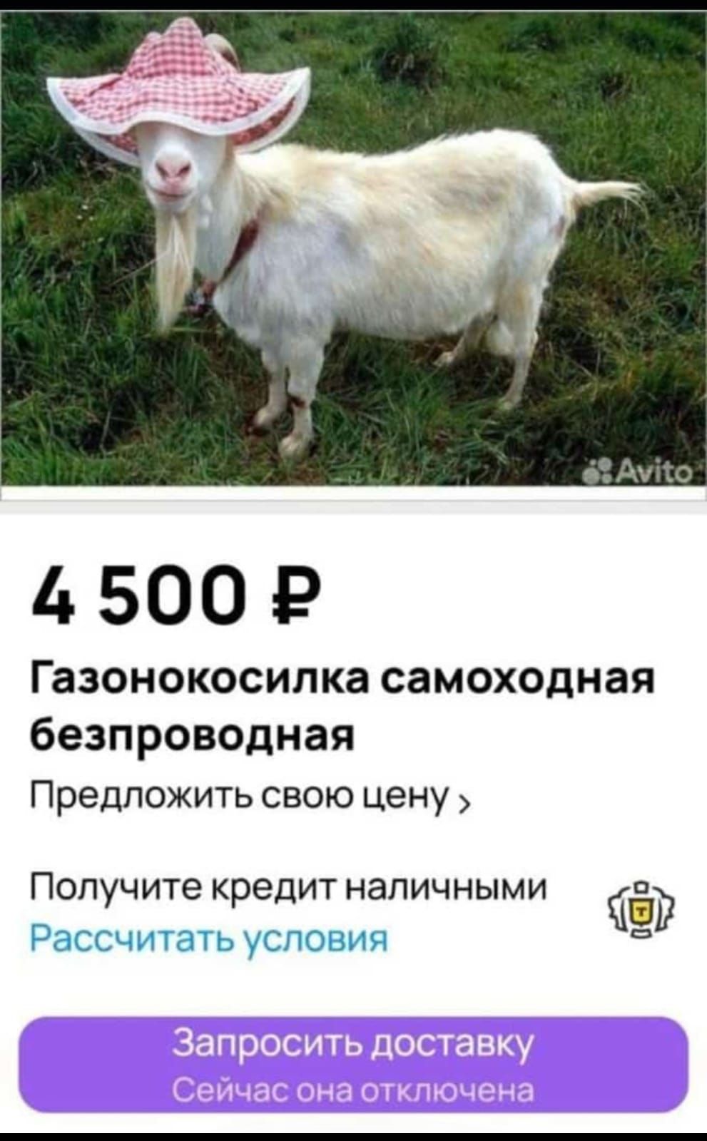 500 Р Газонокосилка самоходная безпроводная Предложить свою цену Получите кредит наличными ЧР Рассчитать условия ыы
