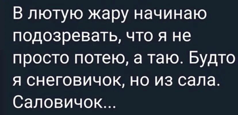 В лютую жару начинаю подозревать что я не просто потею а таю Будто я снеговичок но из сала Ф7 У1Ге 171о Ф