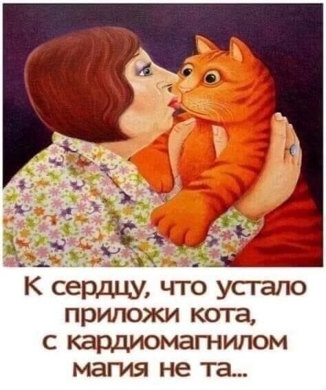 К сердцу что устало приложи кота с кардиомагнилом магия не та
