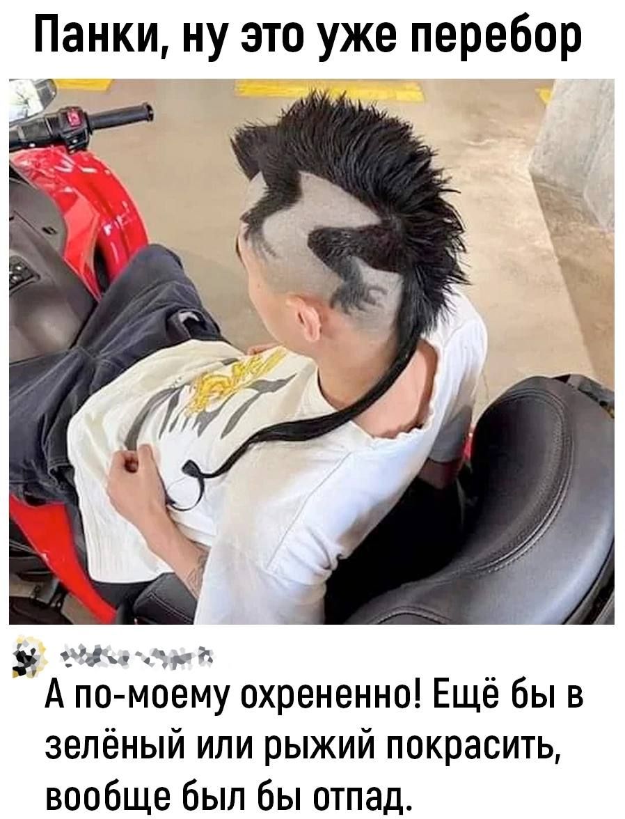 Панки ну это уже перебор Эаа оауа В Апо моему охрененно Ещё бы в зелёный или рыжий покрасить вообще был бы отпад