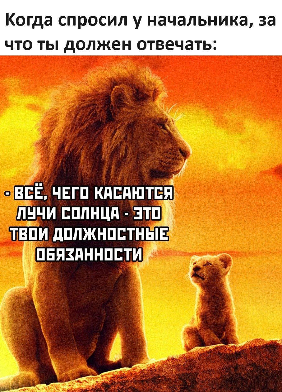 Когда спросил у начальника за что ты должен отвечать ЗВСЁ ЧЕГО КАСАЮТСЯ Тачи солнца этоф ТЕПИ ДОЛЖНОСТНЫТЕ ОБЯХАННОСТИ
