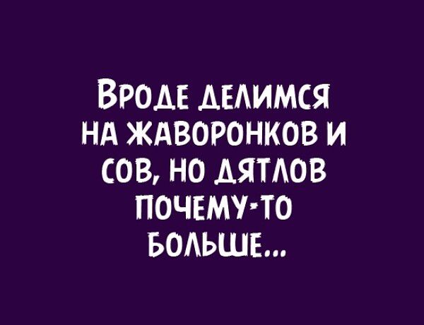 ВРОДЕ ДЕЛИМСЯ НА ЖАВОРОНКОВ И СОВ НО ДЯТЛОВ ПОЧЕМУ ТО БОЛЬШЕ