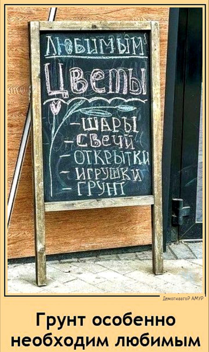 овО 1Цветы СЕРЫ съечи л ОТЪЁЬКЦ ИГРОМЕМ ы ГРШ Грунт особенно необходим любимым