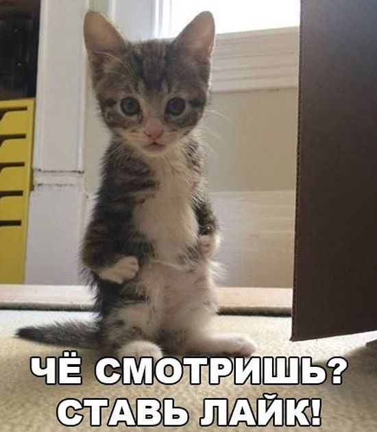 ЁШ 5У