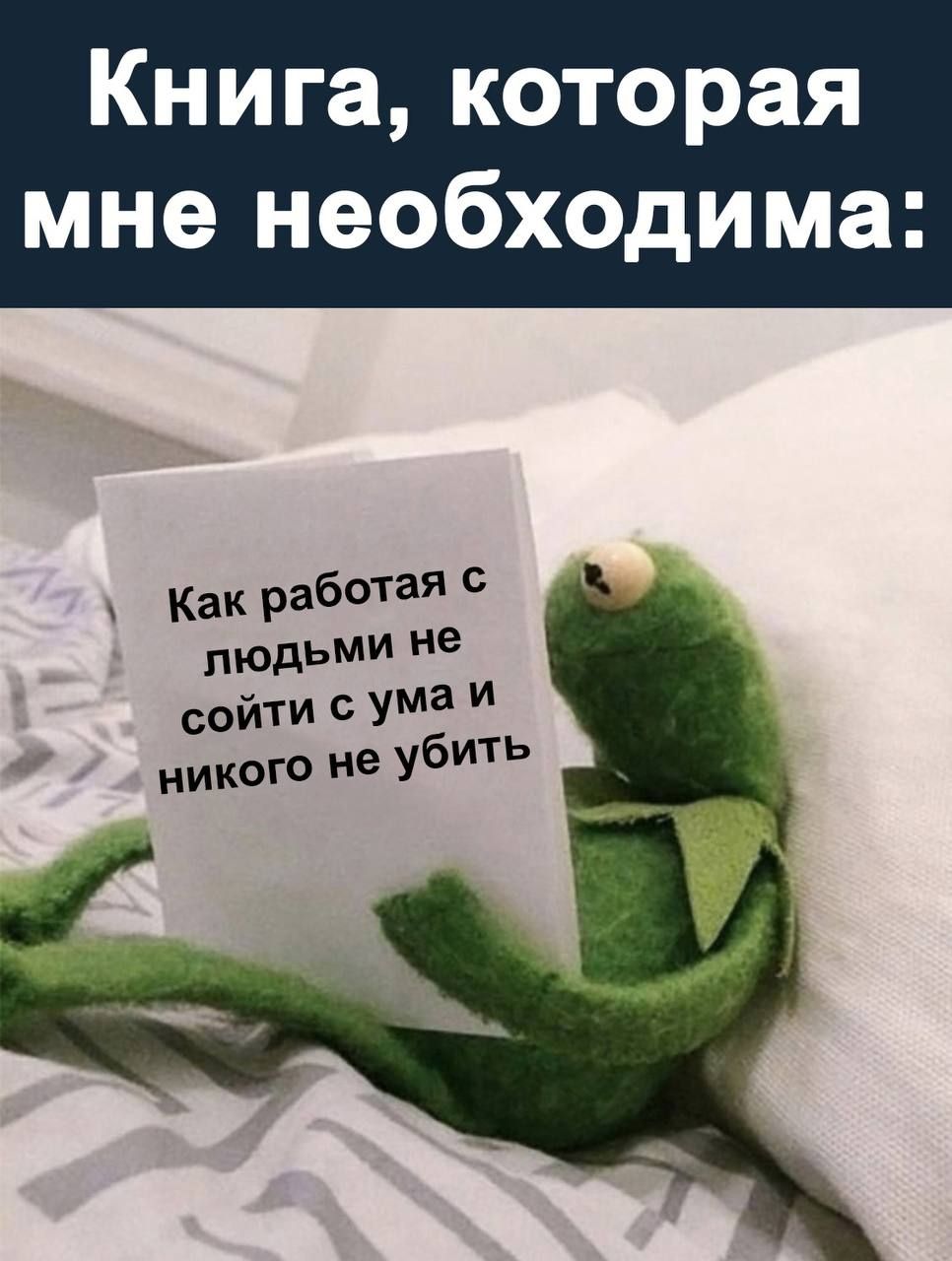 Книга которая мне необходима Как работая людьми не у сойти сума и никого не убитЬ а