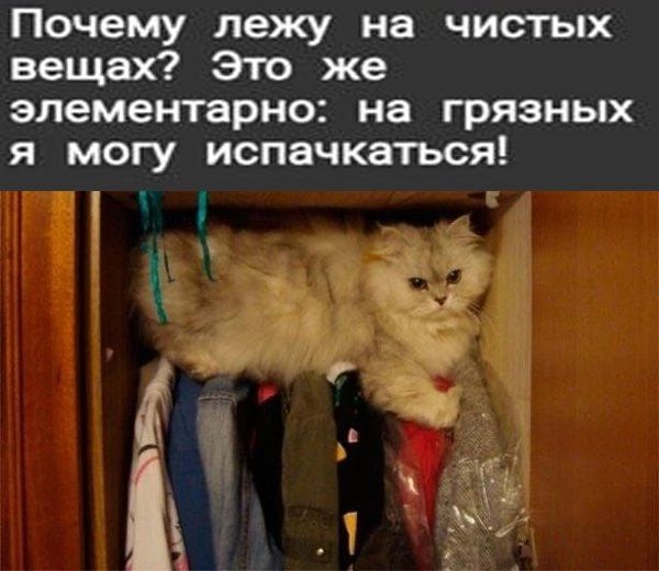Почему лежу на чистых вещах Это же элементарно на грязных я могу испачкаться