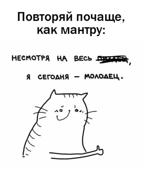 Повторяй почаще как мантру НЕСМОТРЯ НА ВЕСЬ Пр Я СЕГОДНЯ МОЛОАЕЦ