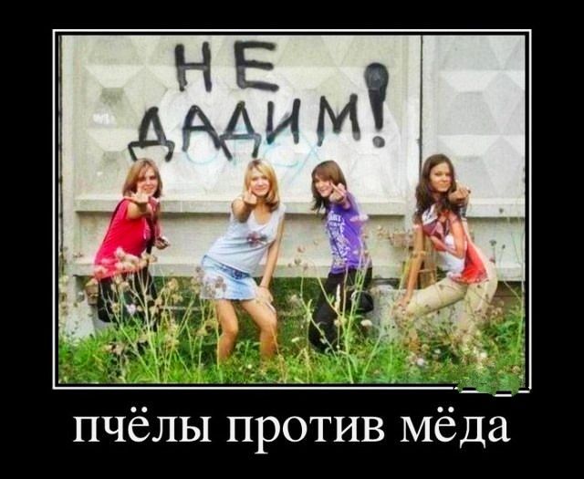 пчёлы против мёда