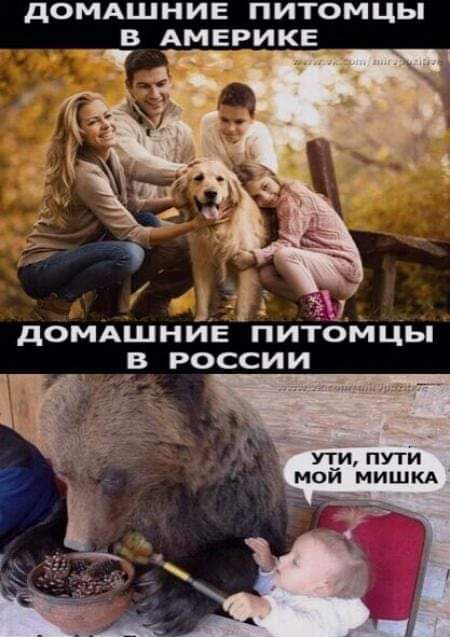ДОМАШНИЕ ПИТОМЦЫ В АМЕРИКЕ Г еетысаы В АВЕ ДОМАШНИЕ ПИТОМЦЫ в РОССИИ УТИ ПУТИ Ц МОЙ МИШКА