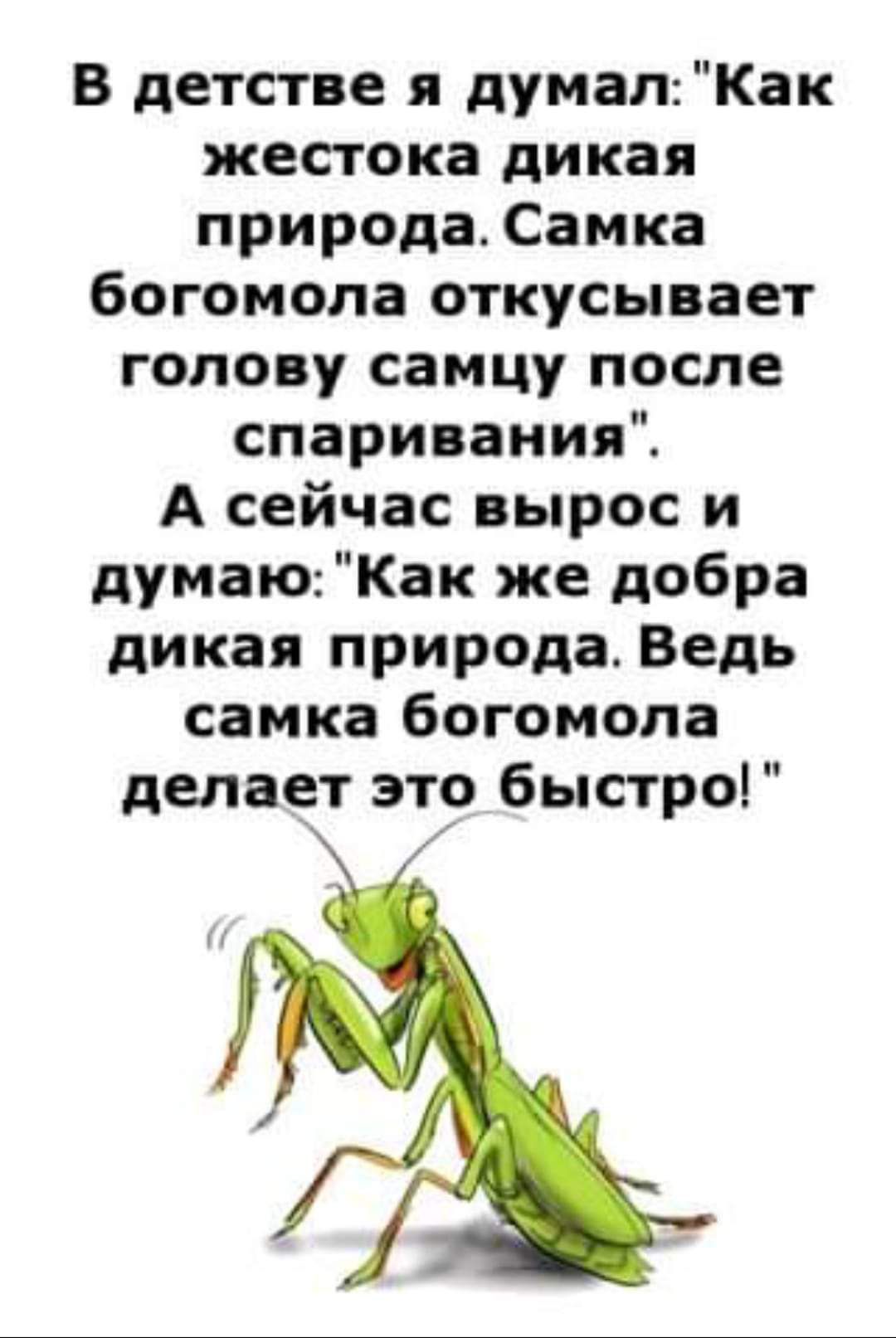 В детстве я думалКак жестока дикая природа Самка богомола откусывает голову самцу после спаривания А сейчас вырос и думаюКак же добра дикая природа Ведь самка богомола делает это быстро