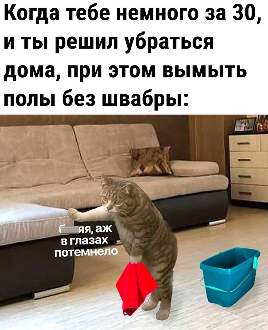 Когда тебе немного за 30 и ты решил убраться дома при этом вымыть полы без швабры