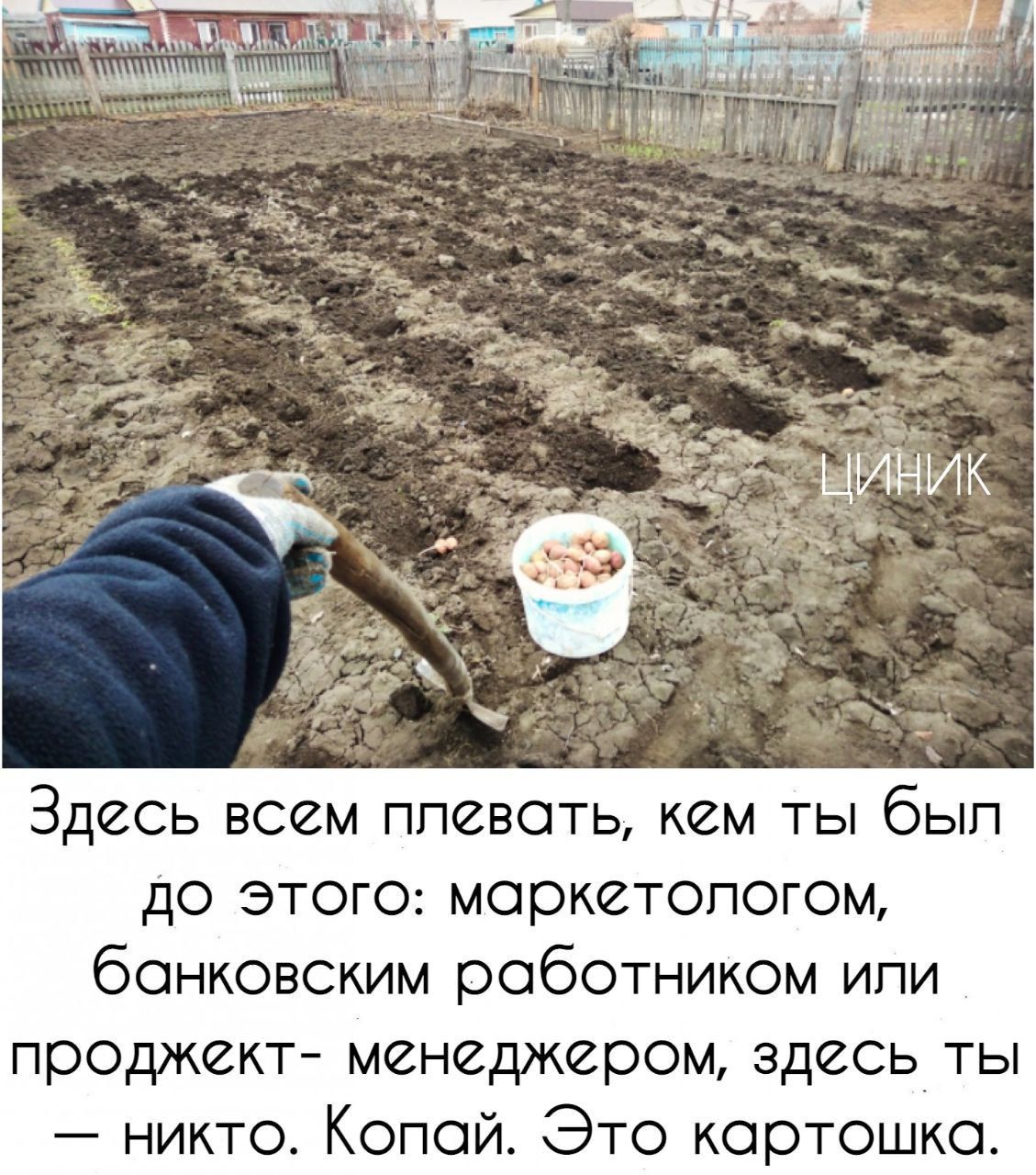 Здесь всем плевать кём ты был до этого маркетологом банковским работником или проджект менеджером здесь ты никто Копай Это картошка