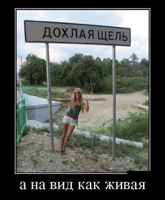 ДОХЛАЯ ЩЕЛЬ а на вид как живая