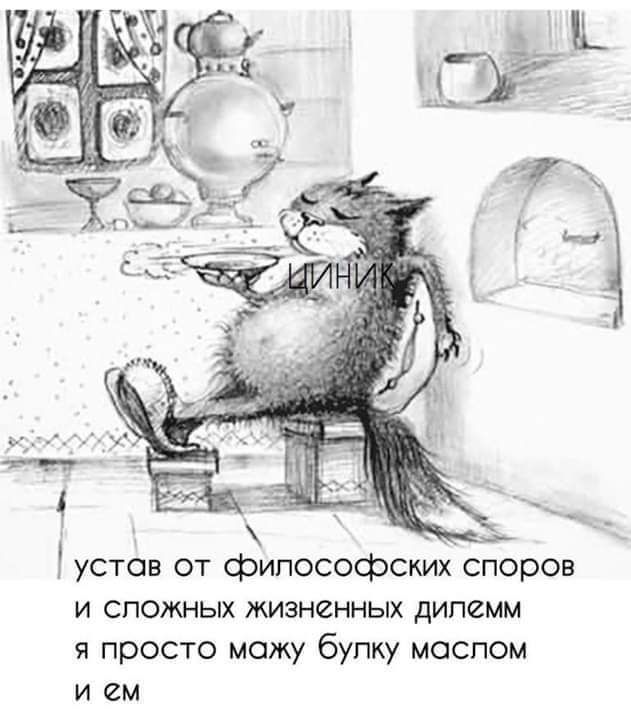 ч устав от срилосоебских споров и сложных жизненных дилемм я просто мажу булку маслом и ем